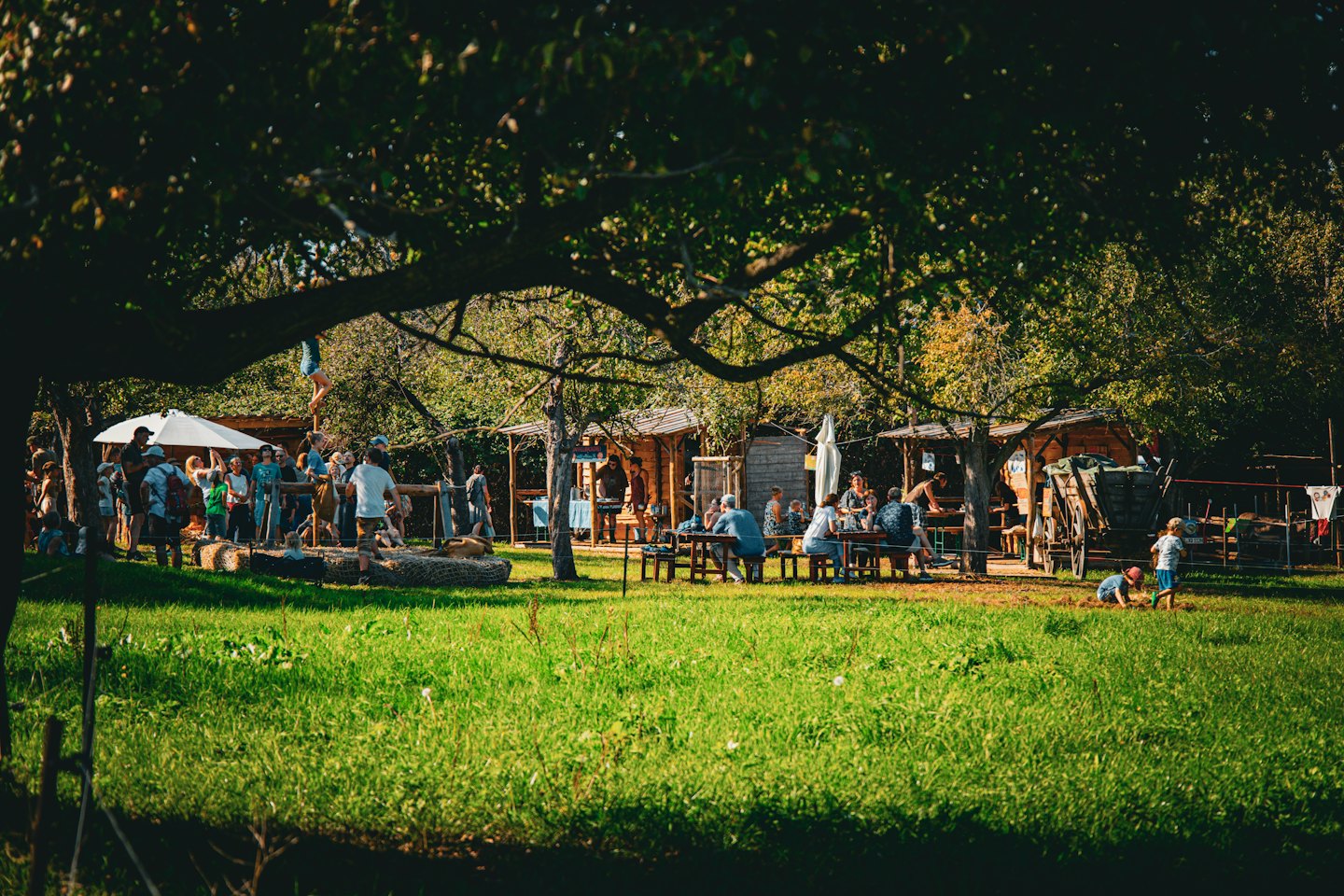 People interact at a community festival with picnic tables and market stalls.